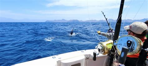 Beginner's Guide to Deep Sea Fishing .